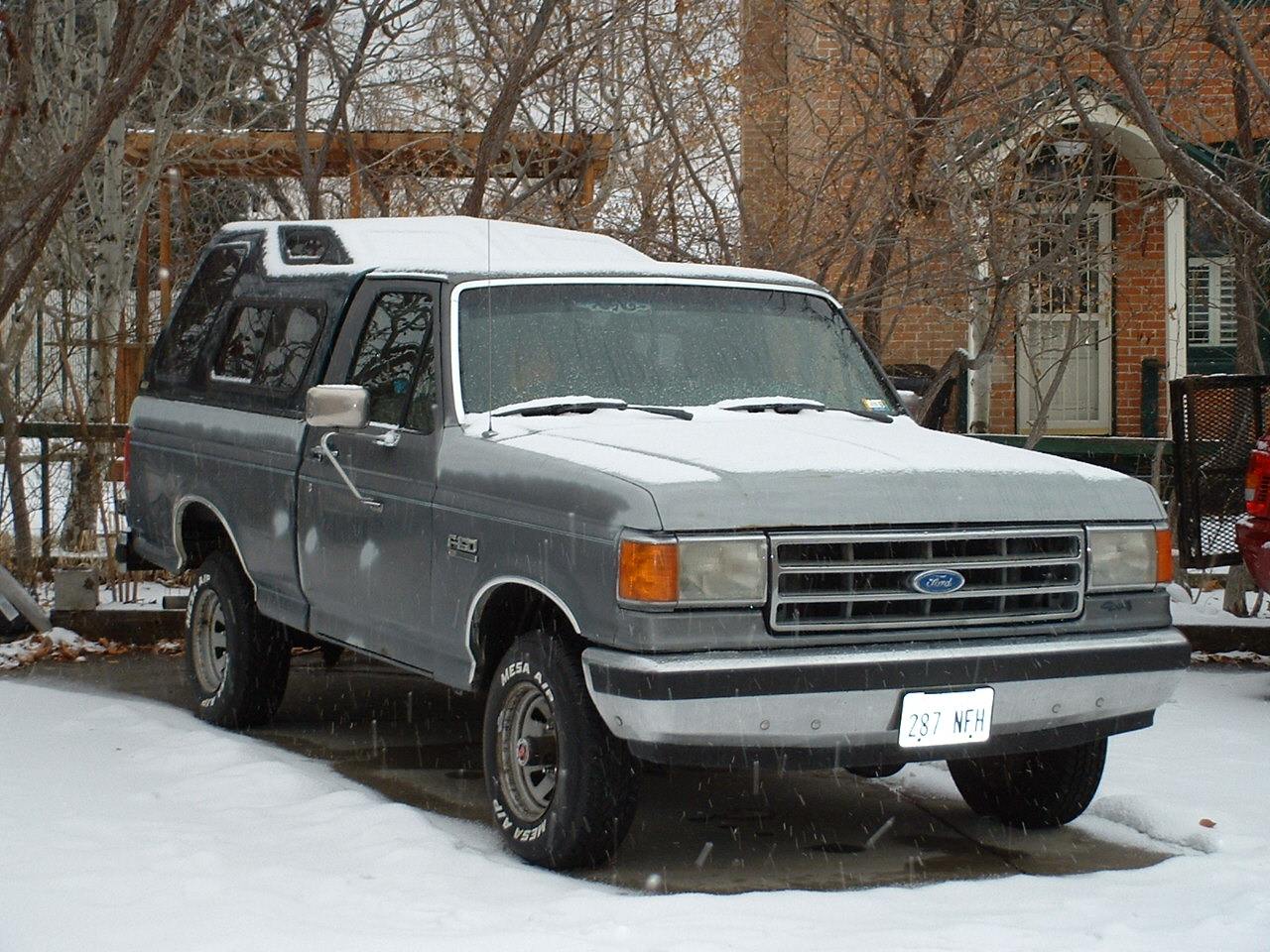 1989 Ford F-160
